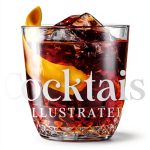 America's Test Kitchen Cocktail Guide by Kindle-0