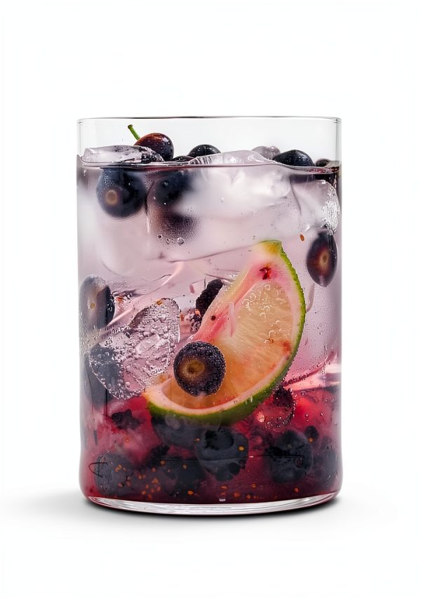 Weldon Owen's 195-Page Non-Alcoholic Beverage Guide-0